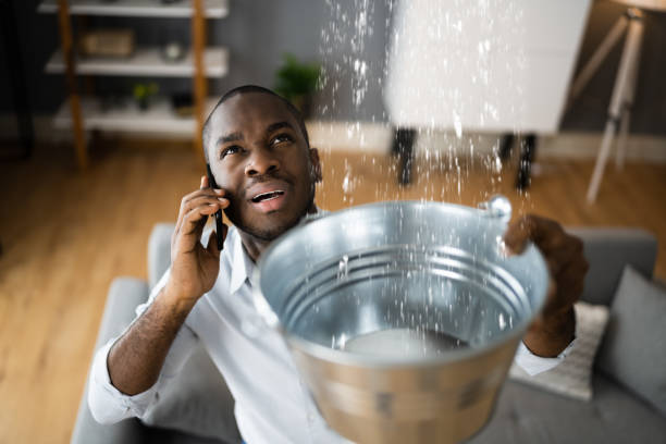 Best Commercial water damage restoration  in Tioga, ND