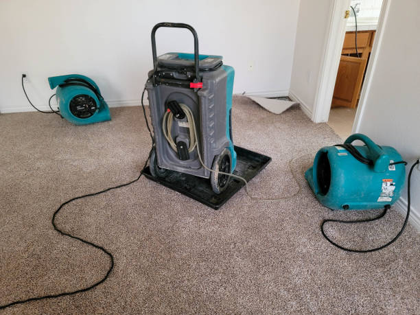 Best Sewage cleanup and water damage restoration  in Tioga, ND