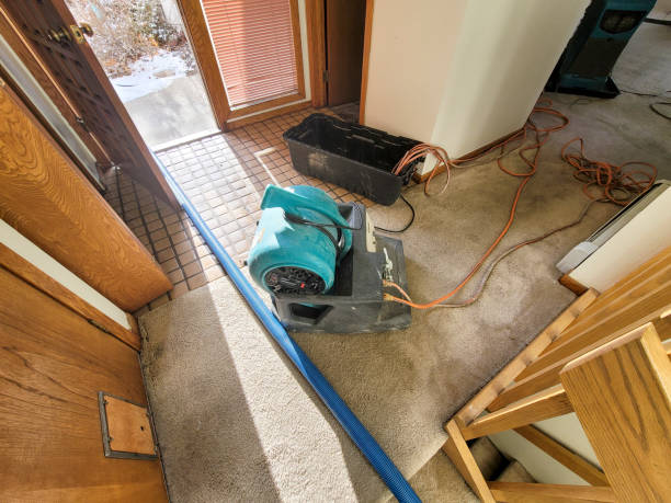 Best Water damage restoration experts  in Tioga, ND