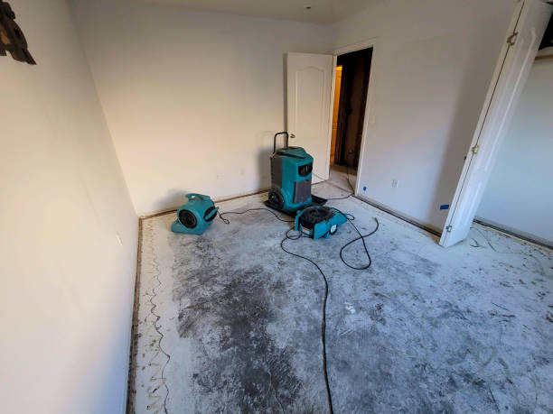Best Water damage restoration near me  in Tioga, ND