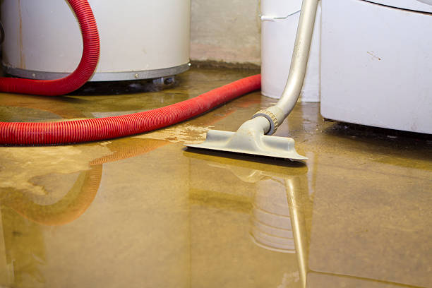 Best Water damage restoration near me  in Tioga, ND